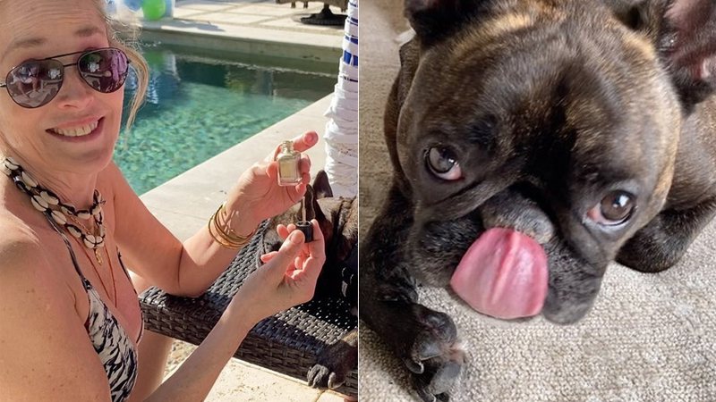 Sharon Stone foi criticada por pintar as unhas de seu cachorro - Foto: Reprodução/ Instagram